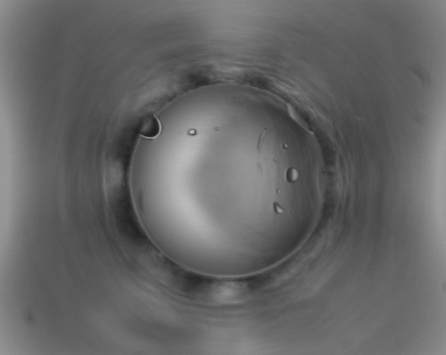 X0000114150711200910151544