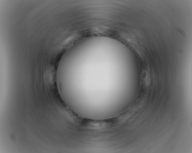 X0000114150712200910151544