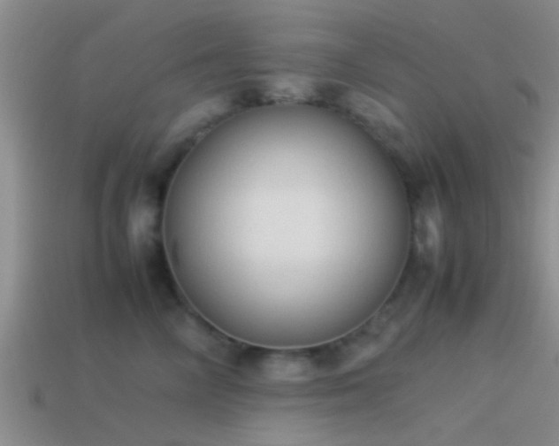 X0000114150714200910151544