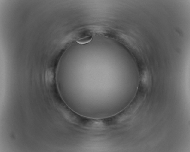 X0000114150715200910151544