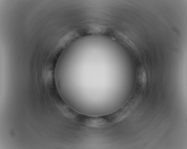 X0000114150716200910151544