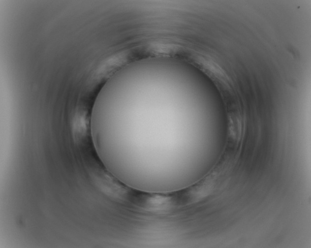 X0000114150718200910151544