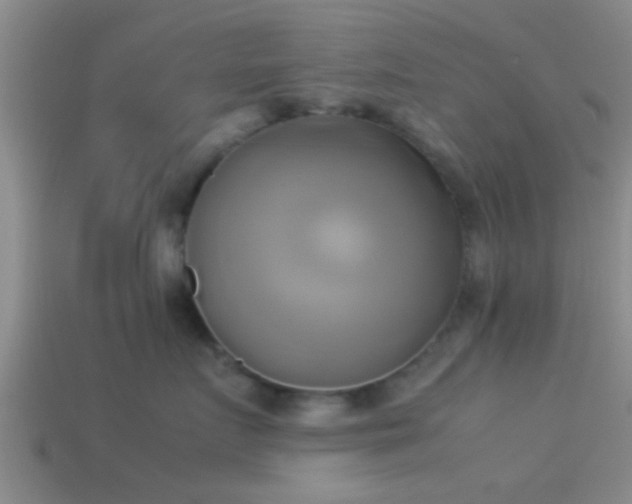 X0000114150719200910151544
