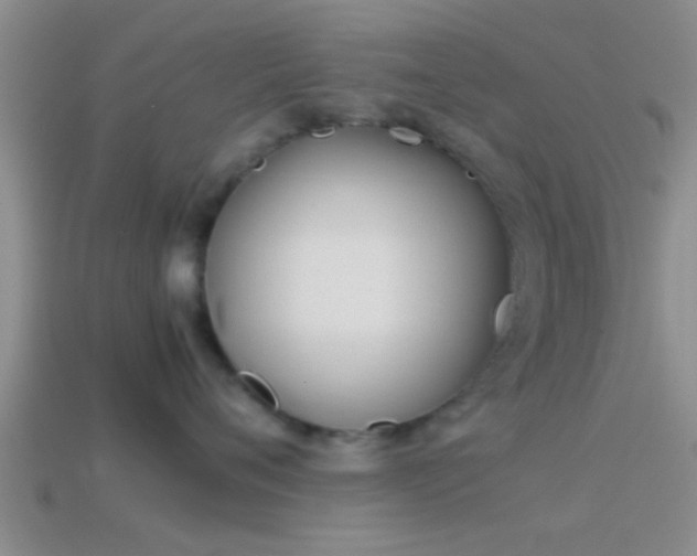 X0000114150720200910151544