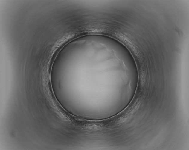X0000114150721200910151543