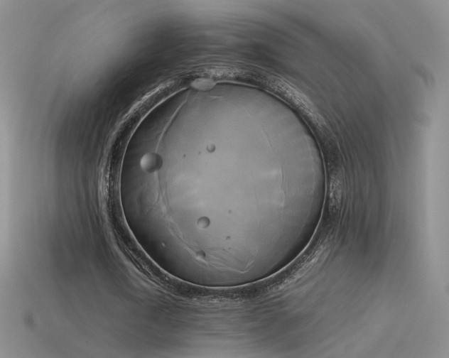 X0000114150722200910151543