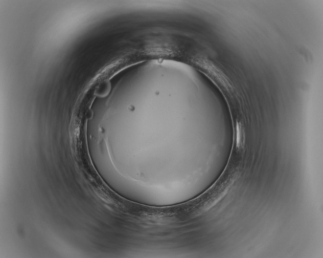 X0000114150723200910151543