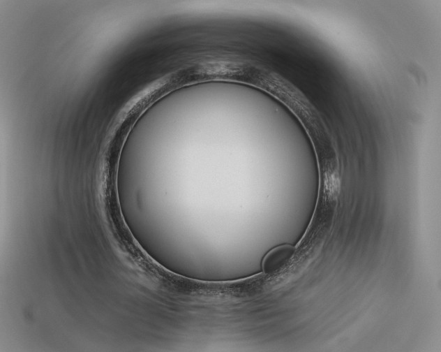 X0000114150724200910151543