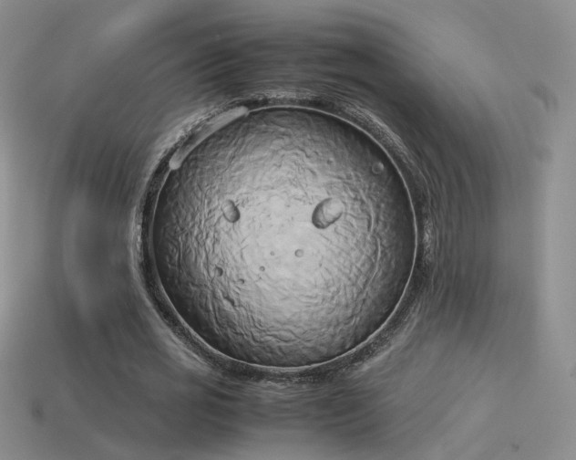 X0000114150725200910151543