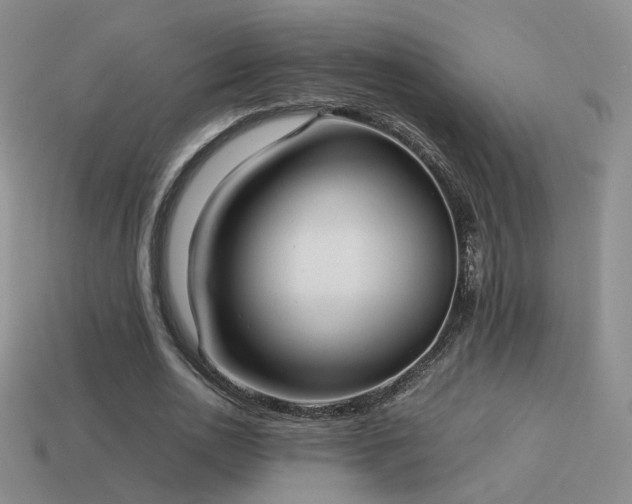 X0000114150726200910151544