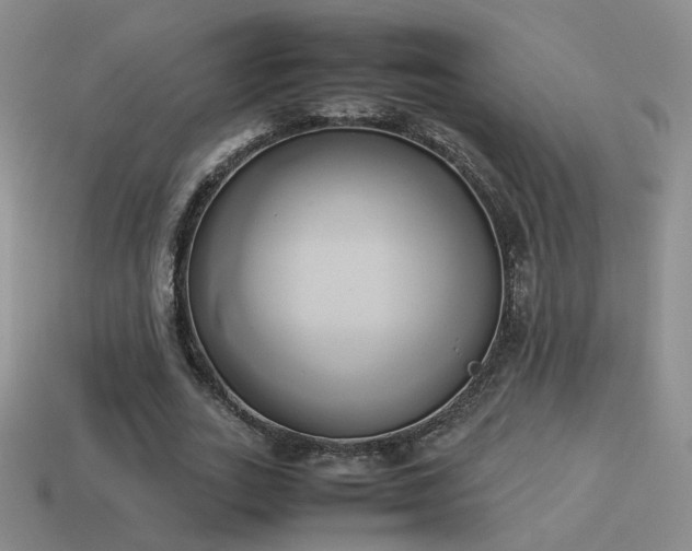 X0000114150727200910151544