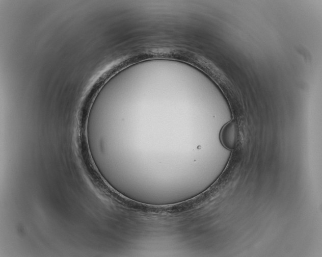X0000114150728200910151544