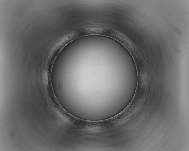 X0000114150729200910151544