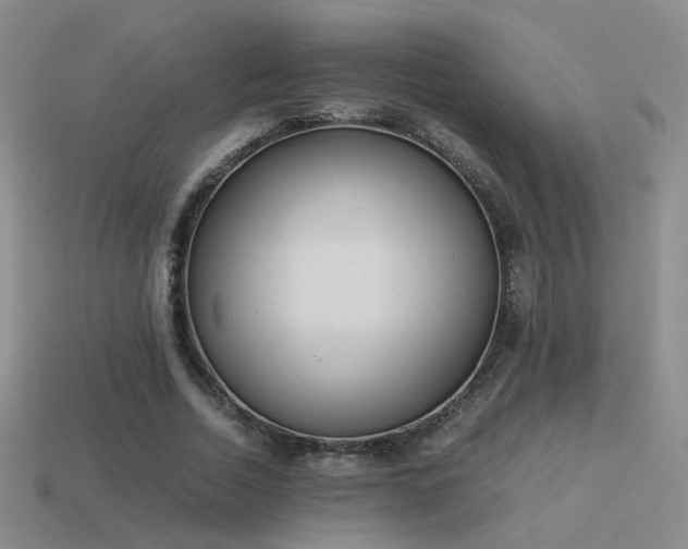 X0000114150730200910151544