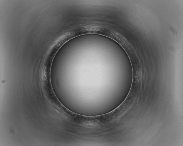 X0000114150731200910151544