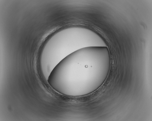 X0000114150732200910151544