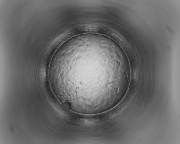 X0000114150733200910151544