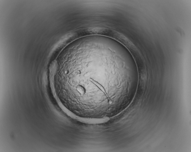 X0000114150734200910151544