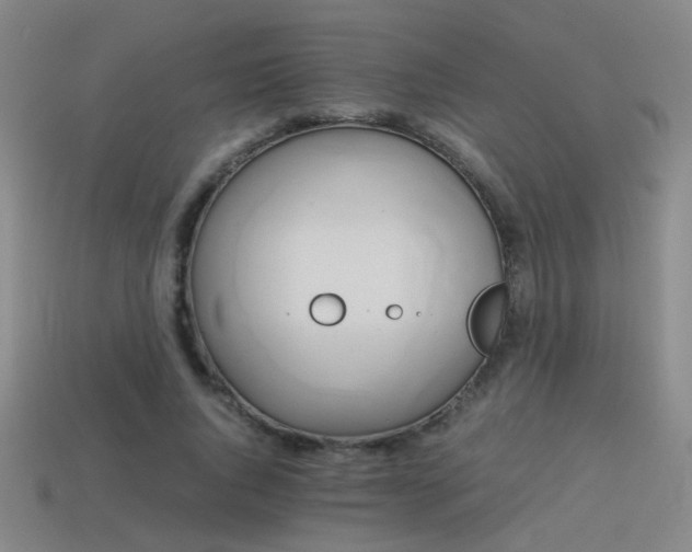 X0000114150736200910151544