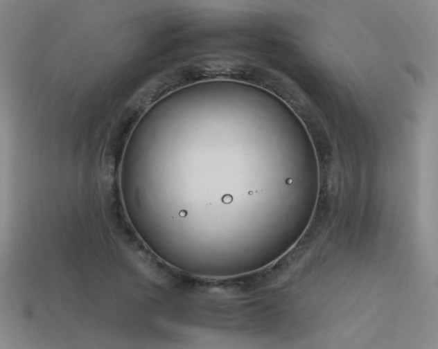 X0000114150737200910151544