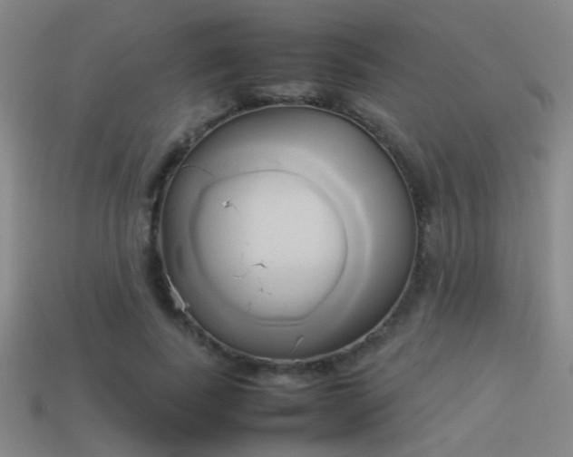 X0000114150739200910151544