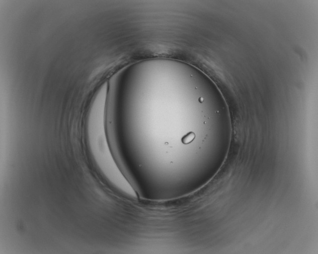 X0000114150740200910151544