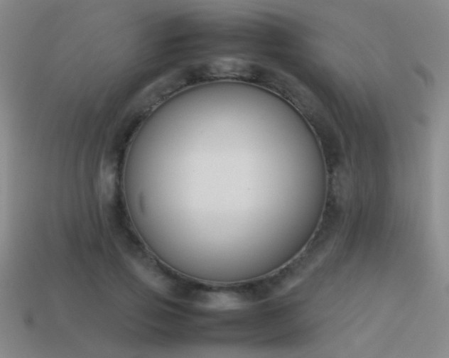 X0000114150741200910151544