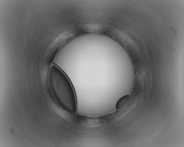 X0000114150744200910151544