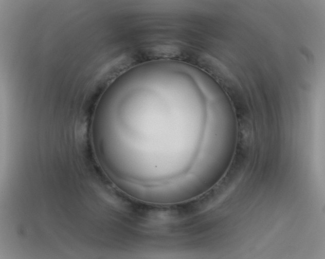 X0000114150745200910151544