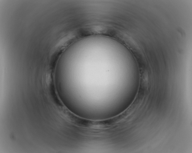 X0000114150746200910151544