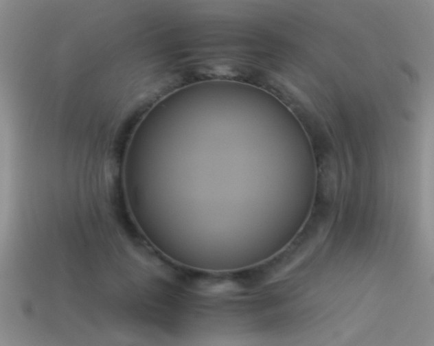 X0000114150747200910151544