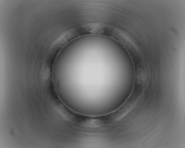 X0000114150748200910151544
