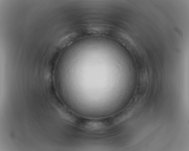 X0000114150749200910151544