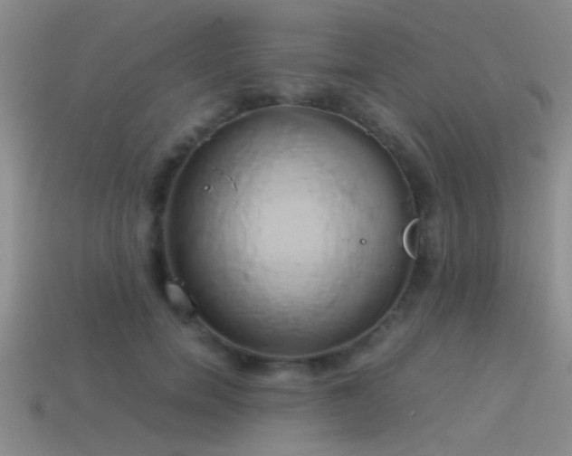 X0000114150750200910151544