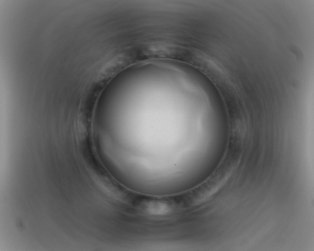 X0000114150751200910151544