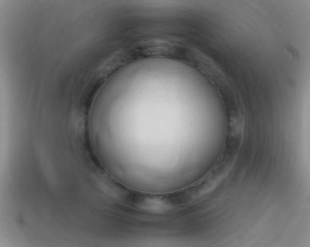 X0000114150753200910151544