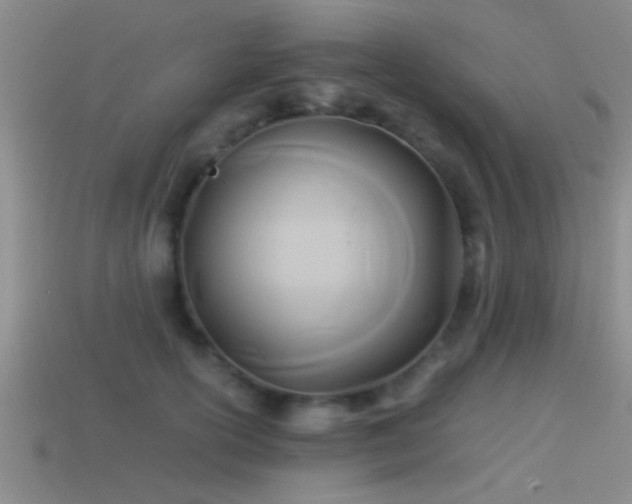X0000114150754200910151544