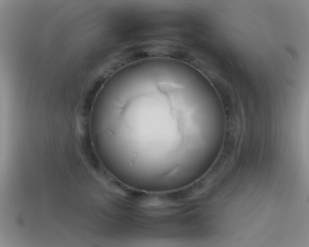 X0000114150755200910151544