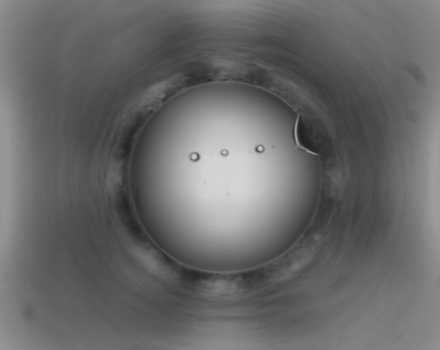 X0000114150756200910151544