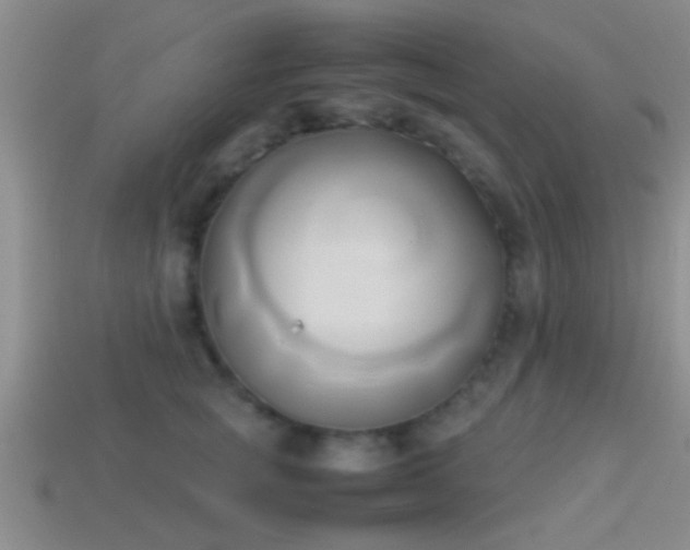 X0000114150757200910151544