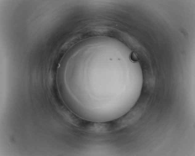 X0000114150758200910151544