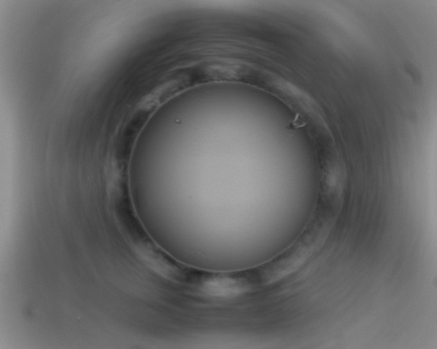 X0000114150759200910151544