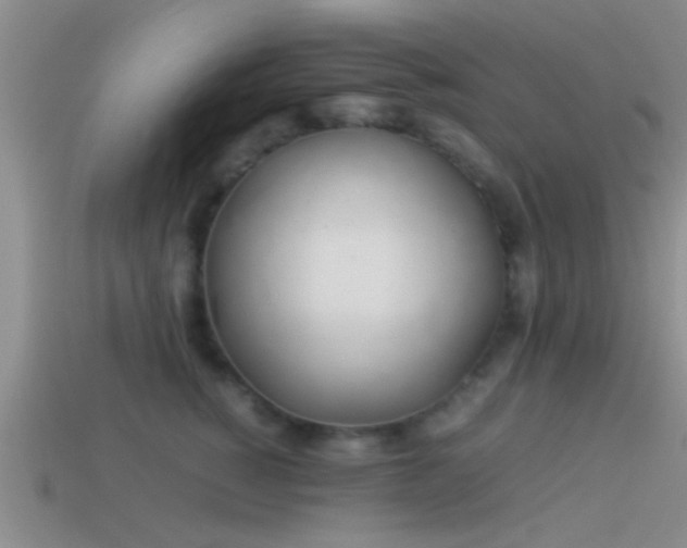 X0000114150760200910151544