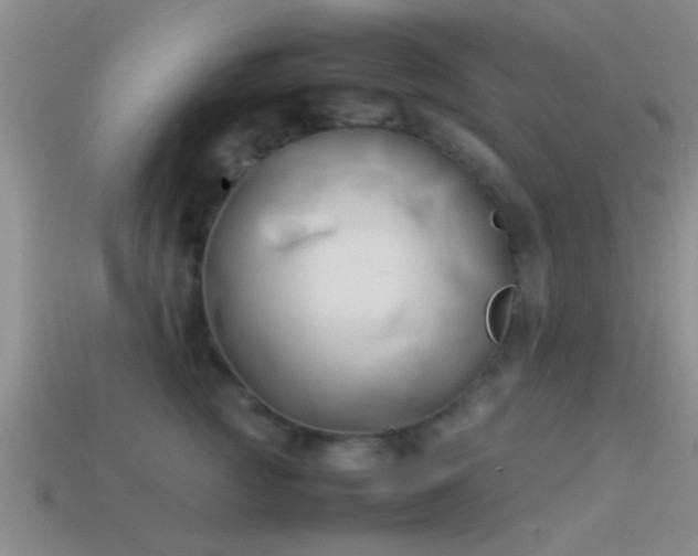 X0000114150761200910151544