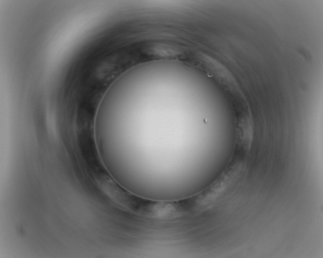 X0000114150762200910151544