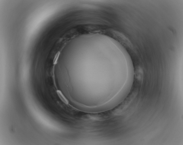 X0000114150763200910151544