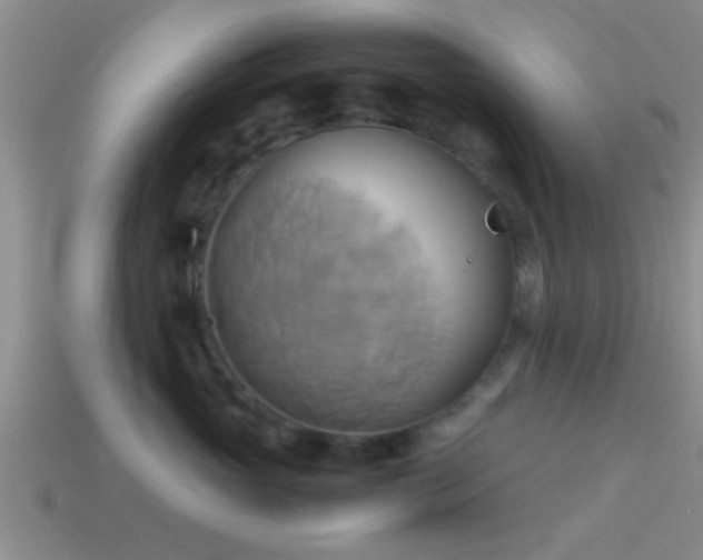 X0000114150765200910151544