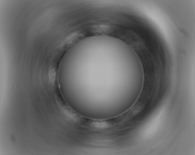 X0000114150767200910151544