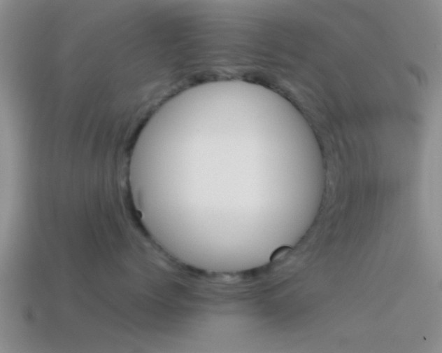 X0000114150768200910151544