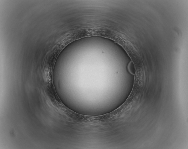 X0000114150770200910151543